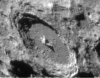Moretus