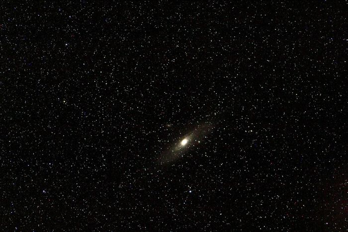 M31