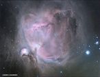 M42