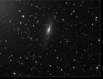 NGC 7331