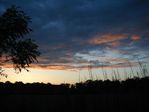 matin calme
