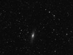 ngc7331 et compagnie