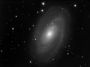 M81 (NGC3031)