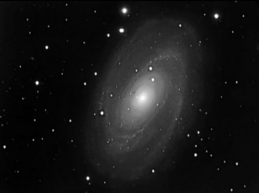 M81 (NGC3031)