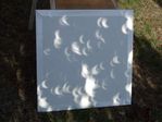 croissants de soleil sous feuillage
