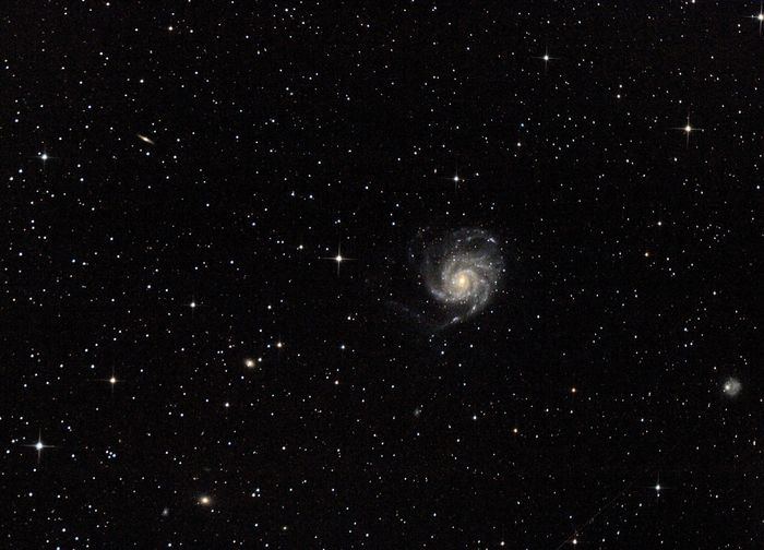 M101