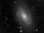 M81 - galaxie spirale de la Grande Ourse