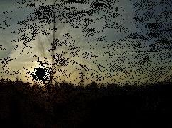animation du soleil couchant