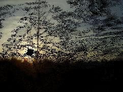 animation du soleil couchant