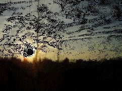 animation du soleil couchant