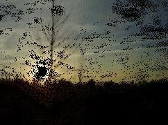 animation du soleil couchant