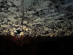 animation du soleil couchant