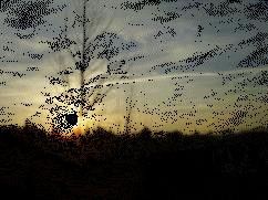 animation du soleil couchant