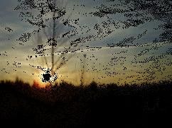 animation du soleil couchant