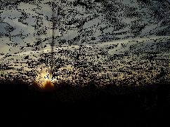 animation du soleil couchant