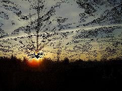 animation du soleil couchant