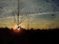 animation du soleil couchant