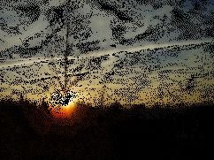 animation du soleil couchant