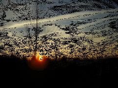 animation du soleil couchant