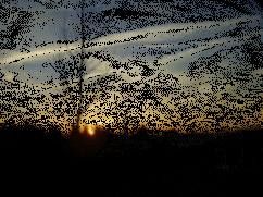 animation du soleil couchant