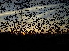 animation du soleil couchant