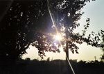 aigrettes solaires?
