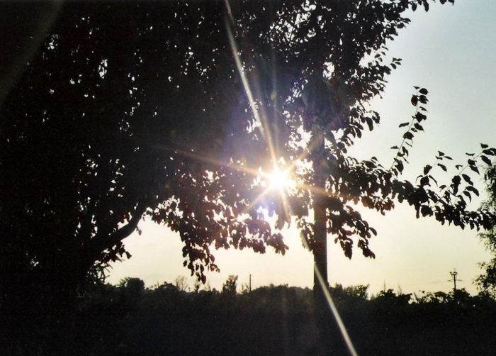 aigrettes solaires?