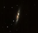 M82 (grande ourse)