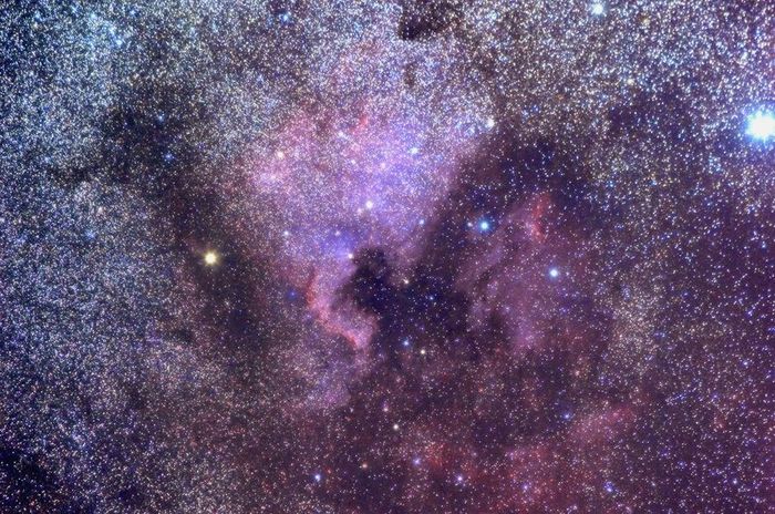 NGC 7000 grand champ