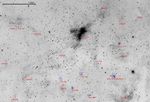 Vast complex around Gamma Cygni