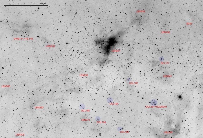 Vast complex around Gamma Cygni