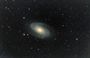 ultime m81