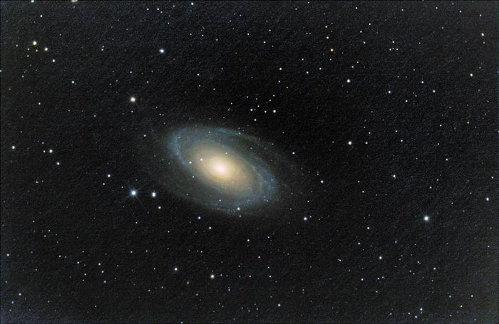 ultime m81
