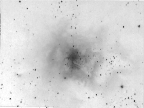 NGC 7023 - Nébuleuse de l'Iris en négatif