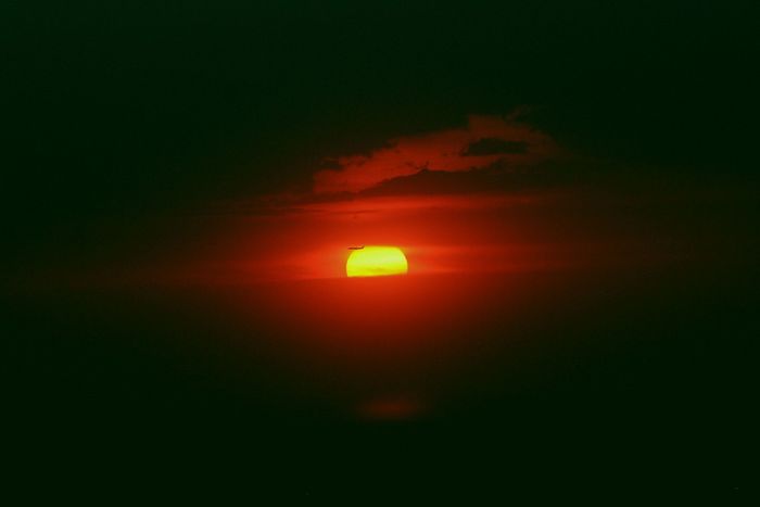 sunset nyc 4
