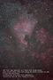 NGC 7000 avec filtre antipollution CLS Astronomik