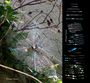Figures de diffraction 01