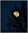 cache cache avec la lune;)
