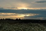 coucher soleil A