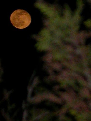 Juste après la Pleine Lune