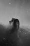 Horsehead