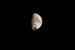lune et coq