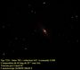 Ngc 7331