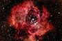 Nébuleuse rosette (NGC 2237)