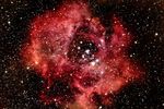 Nébuleuse rosette (NGC 2237)
