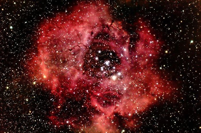 Nébuleuse rosette (NGC 2237)