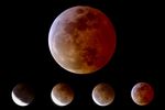 Eclipse totale de Lune - 03/03/07