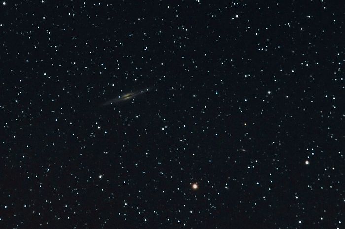 NGC 981   ED 114/600  D700