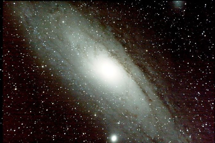 M31