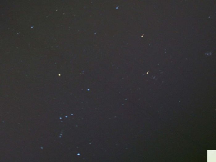 Orion